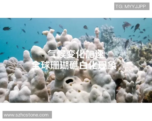 全球气候变化加剧专家呼吁加速应对措施 2030年目标难以达成