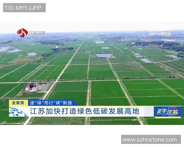 推动高质量发展：加强创新驱动与绿色转型促进经济高效增长