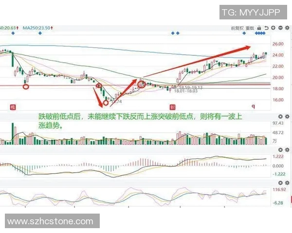 城市赛特别报道：BLG如何在挑战中实现自我转型与突破之路