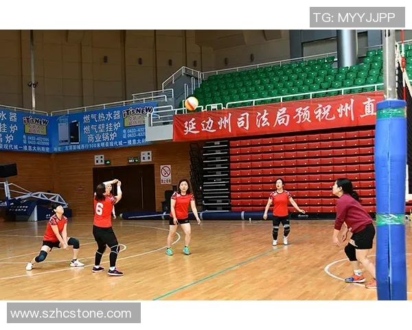 广州排球队转型纪实：从传统到现代的奋斗与蜕变之路