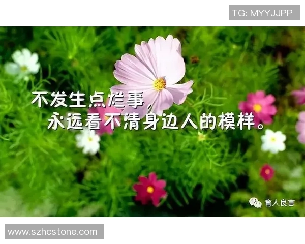 李丽的极限运动人生探索与挑战背后的深度对话与感悟