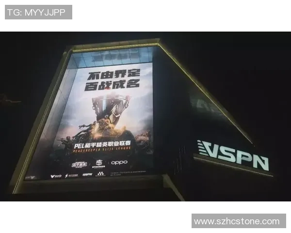 吴军谈和平精英发展历程与未来展望深度专访回顾